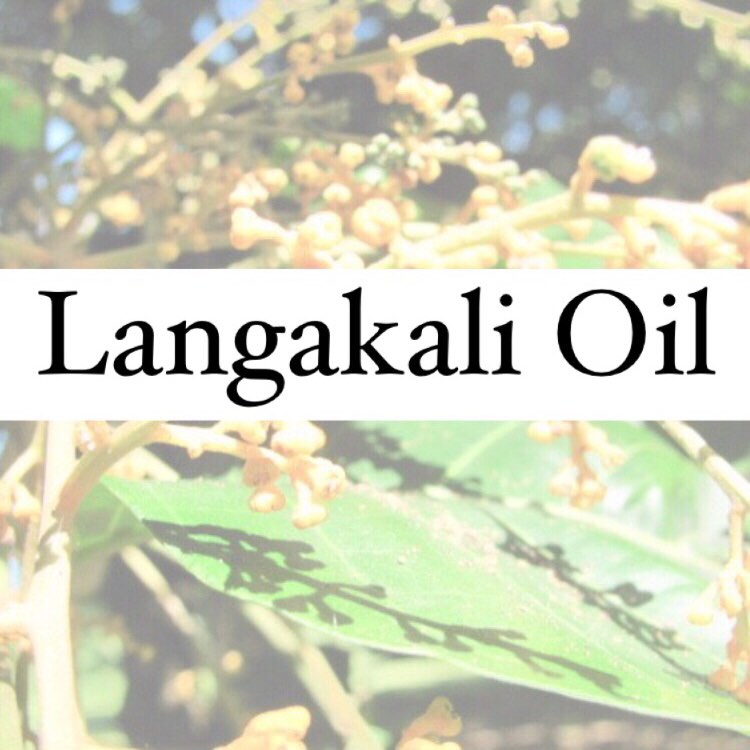 Tongan Coconut Oil - Langakali Fragrance