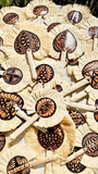 Tongan Handicraft Fans